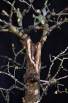 DSC_5074.jpg