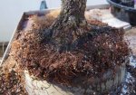 DSC02356-1.jpg