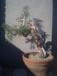 2017-02-15 14.57.16.jpg