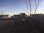 IMG_5298.JPG