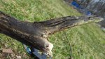 20170221_104202.jpg