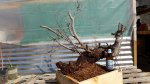 20170301_101428.jpg
