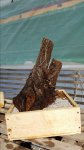 20170301_101654.jpg