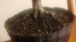 20170304_205703.jpg
