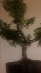 20170304_205727.jpg