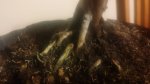 20170304_205750.jpg