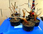20170307_161157.jpg