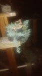 20170309_200001.jpg