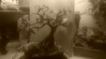 20170312_084309.jpg