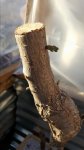 20170315_182807.jpg