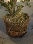 rps20170316_194910.jpg