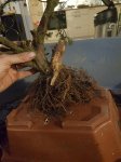 rps20170316_194936.jpg