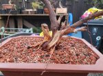rps20170316_195016.jpg