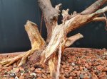 rps20170317_181407.jpg