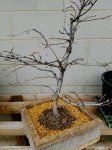 20170326_115800.jpg