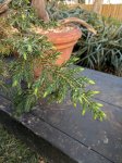 IMG_20170327_180000.jpg
