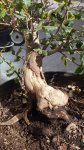 20151024_152512.jpg
