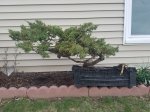 20170405_184651.jpg