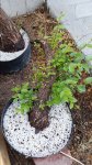 20170408_065445.jpg