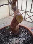 20170410_175933.jpg