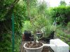 DSCF1199.jpg