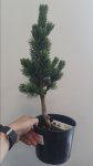 20170412_133557.jpg
