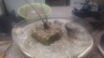 20170413_095158.jpg