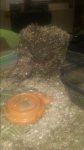 20170413_095504.jpg