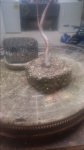 20170413_122541.jpg
