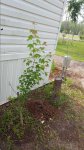 20170415_171517.jpg