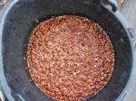 seed bucket.jpg