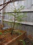 DSCF6655.JPG