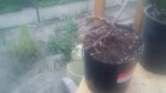 20170426_193813.jpg