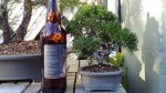 DSC01491.JPG