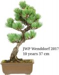 JWP 1 2017 110 years, 37cm.jpg