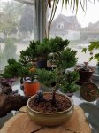 20170524_112330.jpg