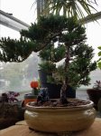 20170524_112354.jpg