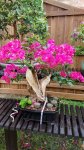 20170527_155220.jpg