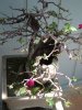 DSC00756.jpg
