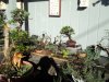 DSC00797.jpg
