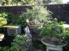DSC00804.jpg