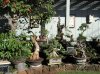 DSC00810.jpg