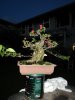 DSC00830.jpg