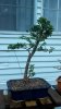 2011-08-30_07-51-09_129.jpg