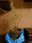 20170610_220141.jpg
