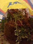 20170627_231143.jpg