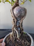 20170704_152802.jpg