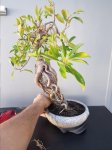 20170704_152727.jpg