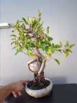 20170704_152719.jpg