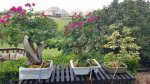20170707_122935.jpg